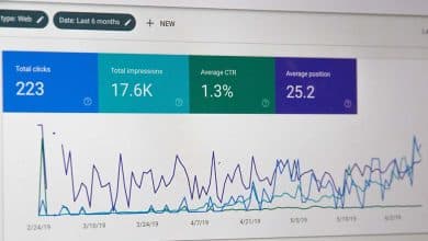 A close-up view of a computer screen displaying a web analytics dashboard. the dashboard shows graphs and metrics including total clicks (223), total impressions (17.6k), average ctr (1.3%), and average position (25.2), with the date range of the last 6 months.