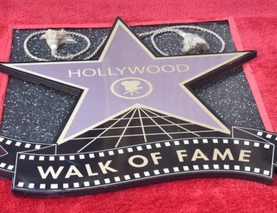 A Hollywood Walk of Fame star on a red carpet, featuring the iconic emblem with a movie camera in the center. The star is partially covered by two small circular furry objects at the top. The