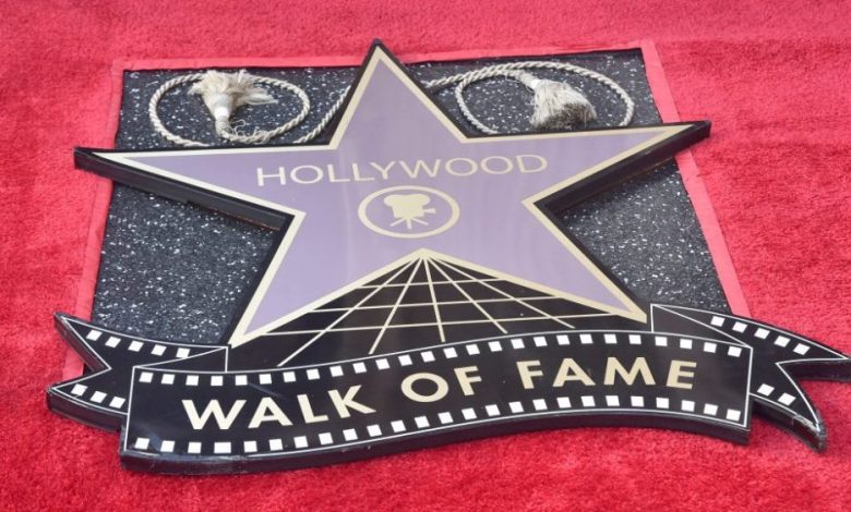 A Hollywood Walk of Fame star on a red carpet, featuring the iconic emblem with a movie camera in the center. The star is partially covered by two small circular furry objects at the top. The