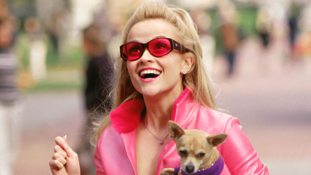 A joyous woman with blonde hair, reminiscent of Reese Witherspoon, wears large red sunglasses and a bright pink jacket, holding a small chihuahua in her arms, both smiling and walking