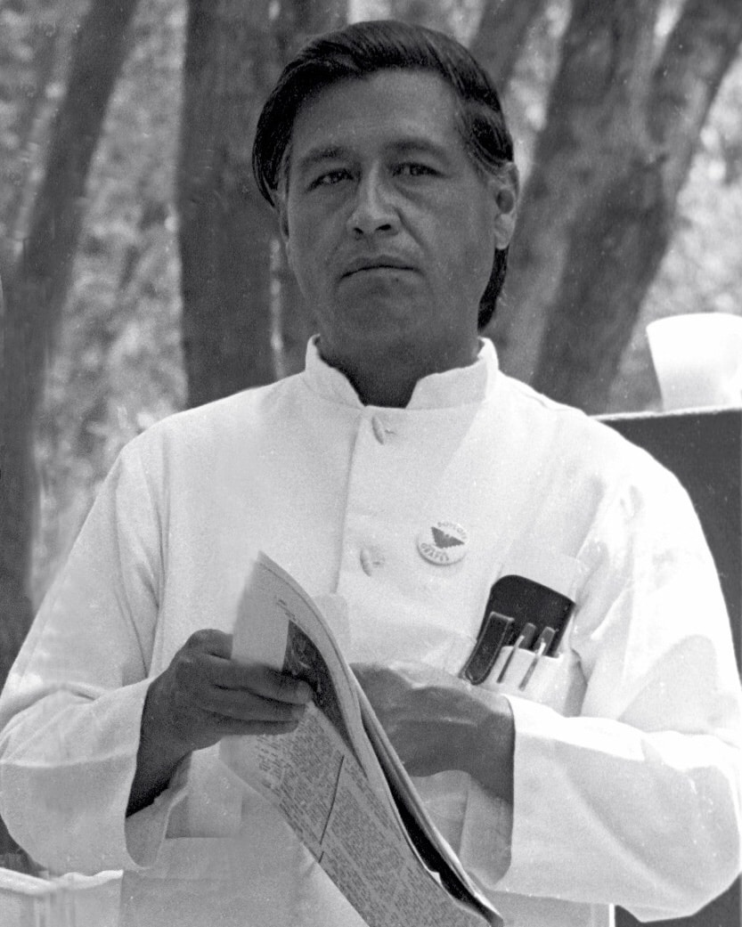 A black-and-white photograph shows a man, Cesar Chavez,  standing outdoors, wearing a white buttoned-up shirt with pens in his chest pocket. His slightly wavy hair is neatly combed back. He holds a folded newspaper and looks thoughtfully into the distance, reflecting on Hispanic contributions as blurred trees form the background.