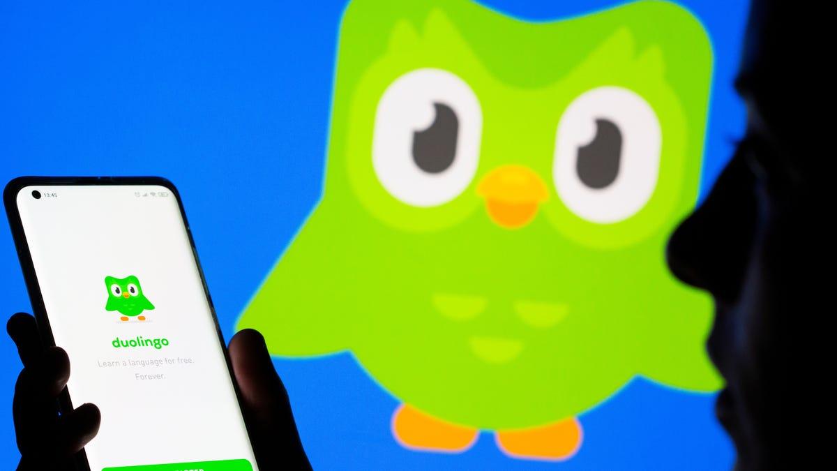 Duolingo owl dead.jpg