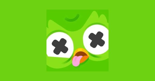 Duolingo owl dead.jpg