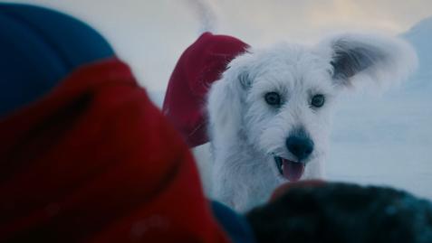 James Gunn Superman Trailer 2.jpg